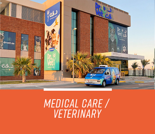 Medical care and veterinary
